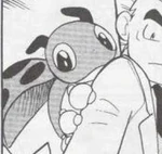 This description is blank. You can improve the Pokémon Wiki by editing this template.