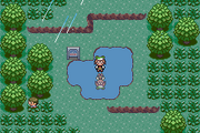 Route 120 rain E