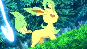Virgil's Leafeon.
