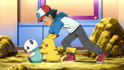 Ash and Pikachu pushes Oshawott to battle