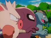 Primeape, Machoke and Hitmonlee are ready to fight