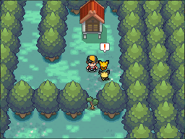 The Shiny Pichu sees the Spiky-eared Pichu in Pokémon HeartGold Version and Pokémon SoulSilver Version.