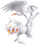 Support Reshiram