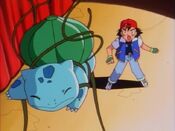 Ash's Bulbasaur takes the hit