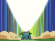 Crystal Ivysaur Solar Beam