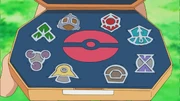 Barry's Sinnoh Badges
