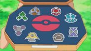 Barry's Gym Badges (three of which are unidentified)