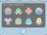 All eight Gym Badges in the badge case in 