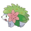 0492Shaymin