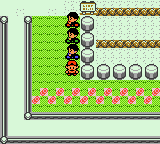 A trio of bikers known as the Kanto Pokémon Federation