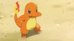Trevor Charmander.png (893 KB)