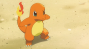 Trevor's Charmander