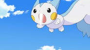Super Fang being used by Dawn's Pachirisu.