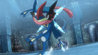 Ice Skates.png
