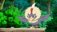 Rufflet BW095.png (1.35 MB) Rufflet as he appears in Unrest at the Nursery!.