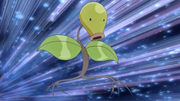 Bellsprout DP134