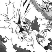 Legendary Birds CR058