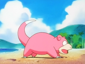 Westwood Slowpoke.png (1.25 MB) Westwood Slowpoke