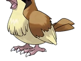 Pidgey