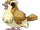 Pidgey