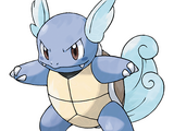 Wartortle