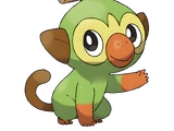 Grookey