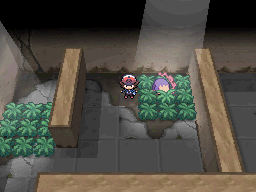 Route 2 - Gym 1 - Story Walkthrough, Pokémon: Black and White