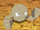 Brock's Geodude (anime)