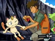Brock heals Meowth