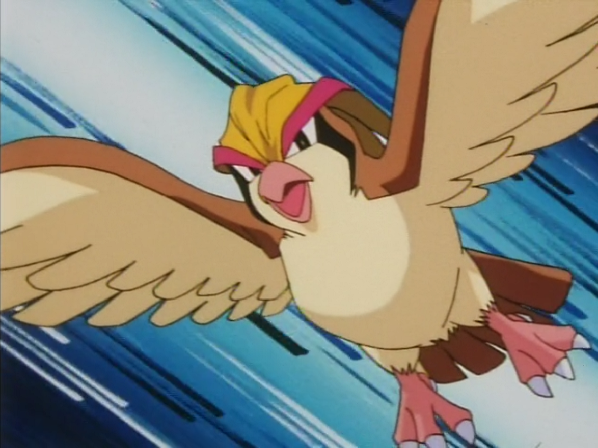 CONHEÇA PIDGEOT O POKEMON PÁSSARO POKEDEX 018 #games #jogos #anime