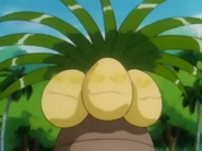 Melvin Exeggutor Hypnosis