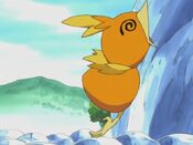 Torchic fainted at the rock