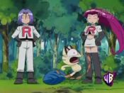By accident, Meowth gets hit by Clamp