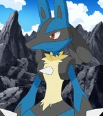 Lucario was the only Riley's Pokémon. It has strong aura.