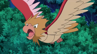 Spearow anime.png