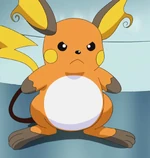 Raichu is Volkner's very first Pokémon. It first appeared in Flint Sparks The Fire and was also seen in the next episode. Volkner has had Raichu since it was a Pikachu when he was younger. However, Volkner never used it in the Gym battle against Ash.