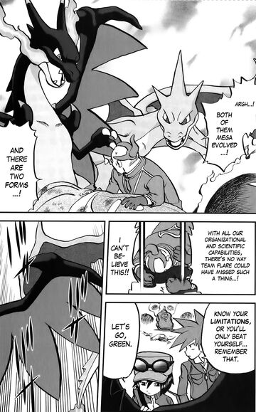 Pokemon Mega Charizard X and Y 6