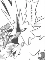 Green caught Zapdos to overcome her fear of birds. She later used Zapdos to battle Lugia and Ho-Oh. She released it after the battle.