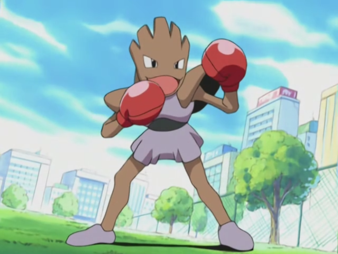 18 Facts About Hitmonchan