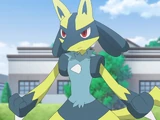Roy's Lucario