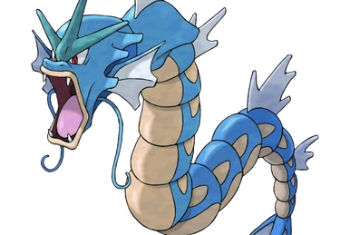 다크스트라이프와 타이거스타