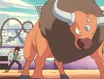 A powerful Pokémon, Tauros managed to defeat most of challengers' Tauros. However, it was defeated by Ash's.