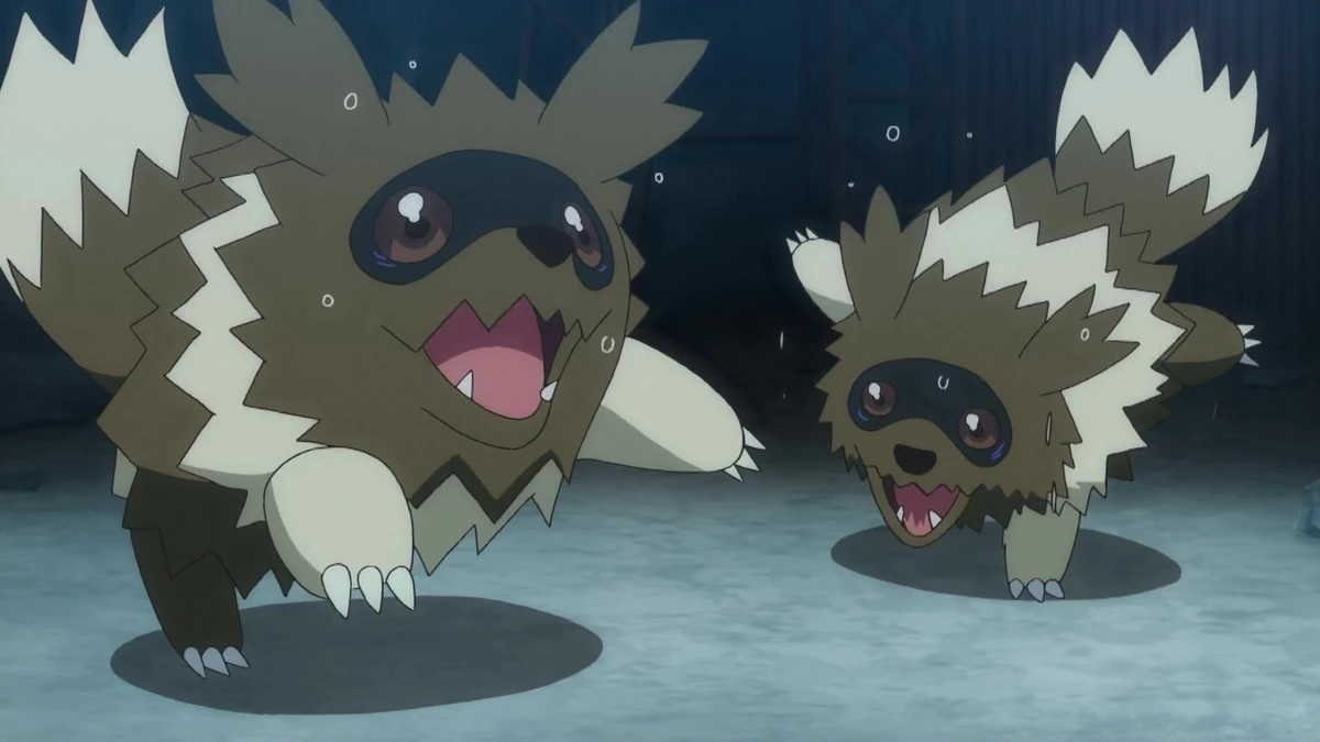 Zigzagoon (PJ022) Pokémon Wiki Fandom