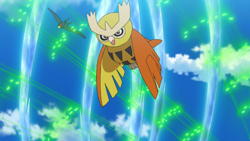 Ash S Noctowl Pokemon Wiki Fandom