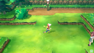 Kanto Route 3 in Let's Go Pikachu and Eevee