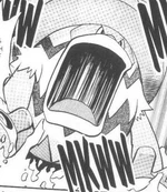 Shelly used a Lombre during her battle with Sapphire. She used a Water Stone to evolve it into a Ludicolo, and was used during her other battles.