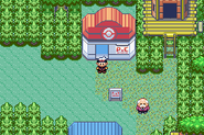 Fortree City - Pokémon Center (Gen III)