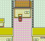 Goldenrod City - Gate to Route 35