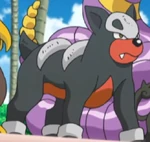 Houndour was used by Team Skull Grunts to battle against Ilima and his Eevee. They were shortly defeated by Eevee when it used a combination of Quick Attack, Baby-Doll Eyes and Swift.