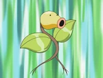 Roderick used his Bellsprout when he tried to save May and Drew from falling from a cliff, but didn't succeed.
